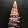 Telescopium telescopium